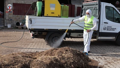 Hatay’da şap hastalığına karşı karasinek mücadelesi sürüyor