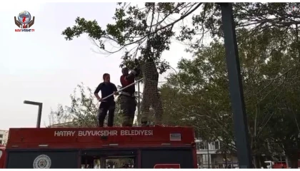 İskenderun'da ağaca takılan güvercin itfaiye ekiplerince kurtarıldı