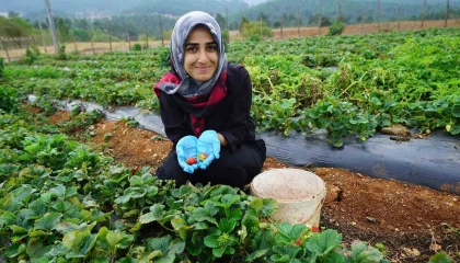 Kadınların emeği Kahraman Kadın Platformuyla geniş kitlelere ulaşıyor