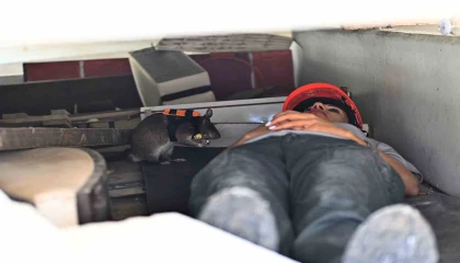 Kahraman fareler, enkaz altında kalanları kurtarmaya giden ekiplerin ‘gözü olacak