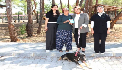 Kopi yangının ardından yeni yuvasına kavuştu