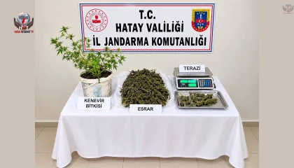 Kumlu'da uyuşturucu operasyonu: 1 tutukluma