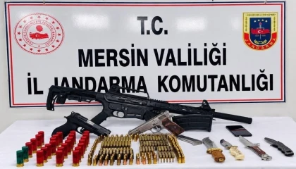 Mersinde silah kaçakçılığı operasyonu: 1 tutuklama