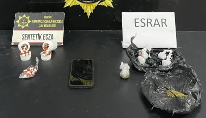 Mersinde uyuşturucu operasyonu: 1 tutuklama