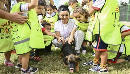 Muratpaşada 2026da 287 sokak hayvanı yeni yuvasına kavuştu