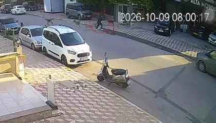 Okul yolunda sokak köpeklerinin saldırısına uğrayan kız çocuğu yaralandı
