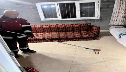 Samandağda yerleşim yerinde görülen yılan yakalanarak doğaya bırakıldı