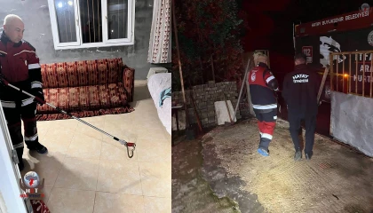 Samandağda yerleşim yerinde görülen yılan yakalanarak doğaya bırakıldı