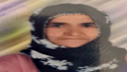 Tarsusta otomobilin çarptığı yaşlı kadın hayatını kaybetti