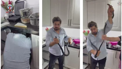 Yılancı Kemal 2 metrelik yılanı 4 saatlik mücadele sonunda çıplak elleriyle yakaladı