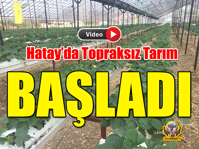 Hatay’da Topraksız Tarım Başladı