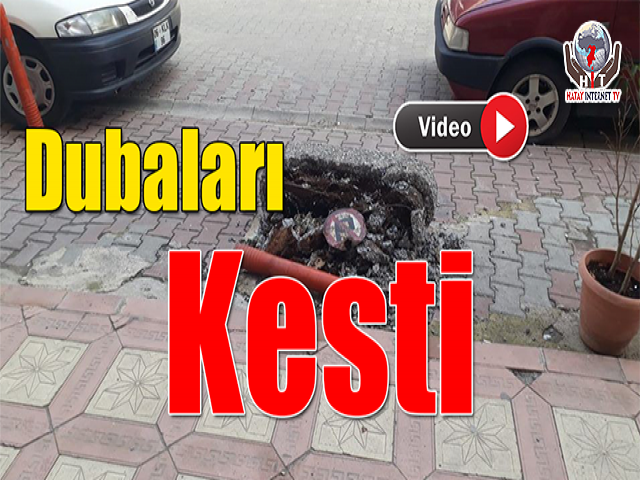 Hatay'da Avukat Dubaları Kesti