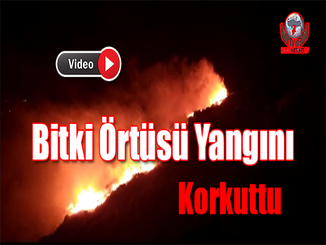 Hatay’da Bitki Örtüsü Yangını Korkuttu