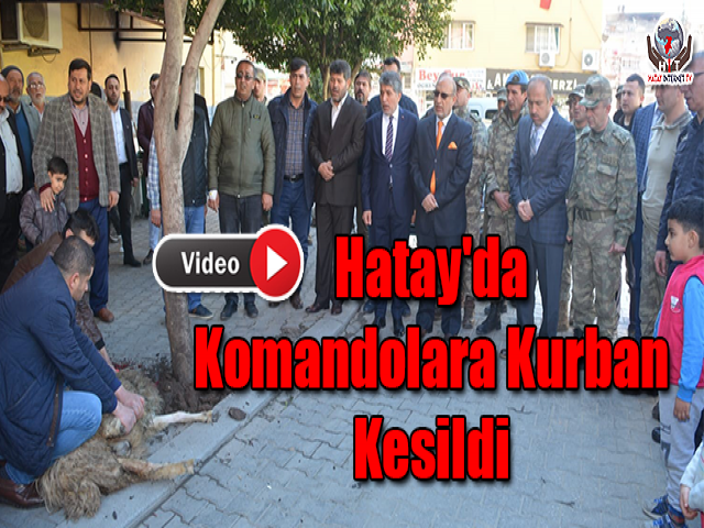 Hatay'da Komandolara Kurban Kesildi