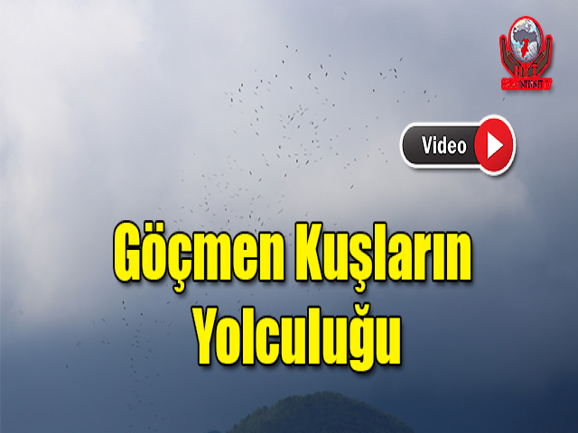 Kuşların Uzun Yolculuğu