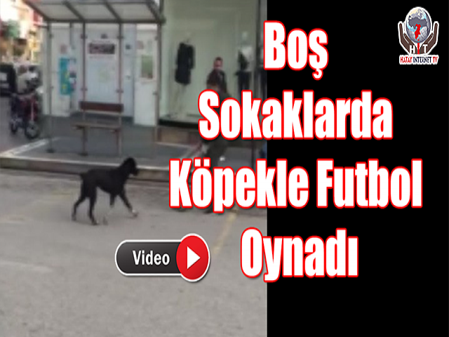 Köpekle Futbol Oynadı