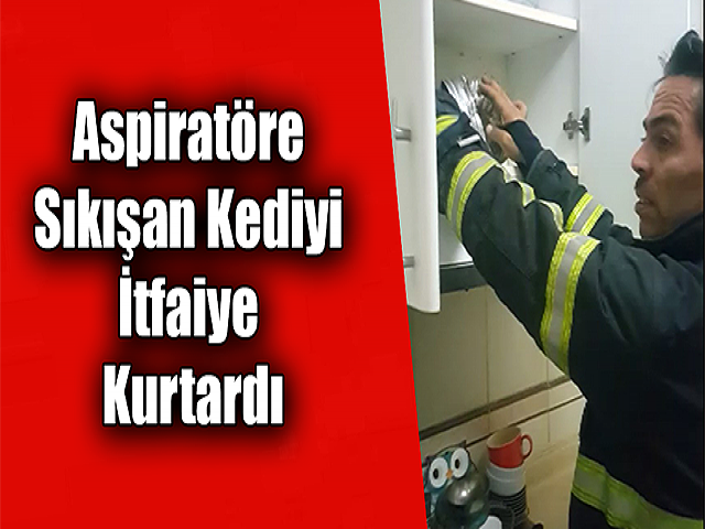 Hatay'da Aspiratöre Sıkışan Kediyi İtfaiye Kurtardı