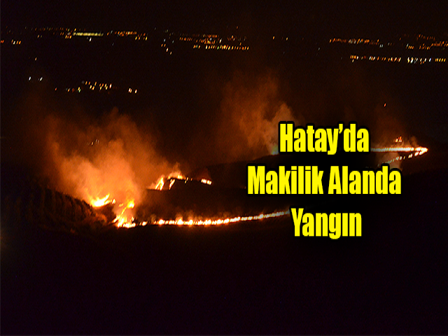 Hatay’da boş arazide yangın