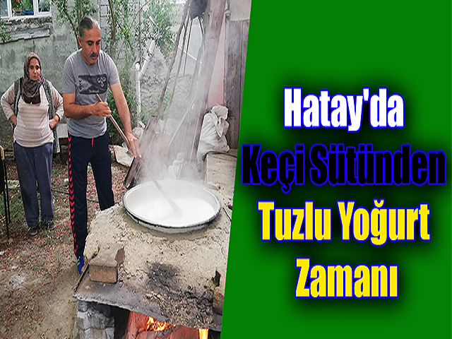 Hatay'da Keçi Sütünden Tuzlu Yoğurt Zamanı