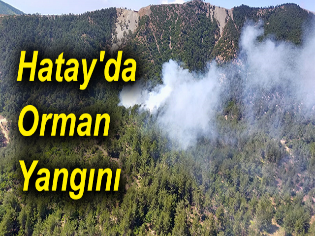 Hatay'da Orman Yangını
