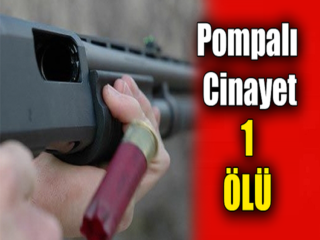 Hatayda Pompalı Cinayet