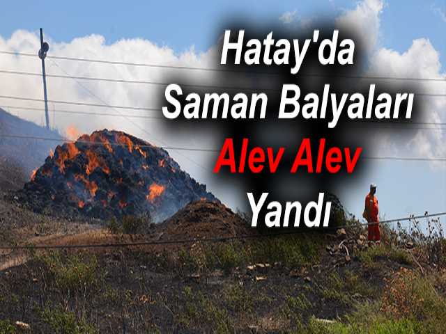 Hatay'da Saman Balyaları Alev Alev Yandı