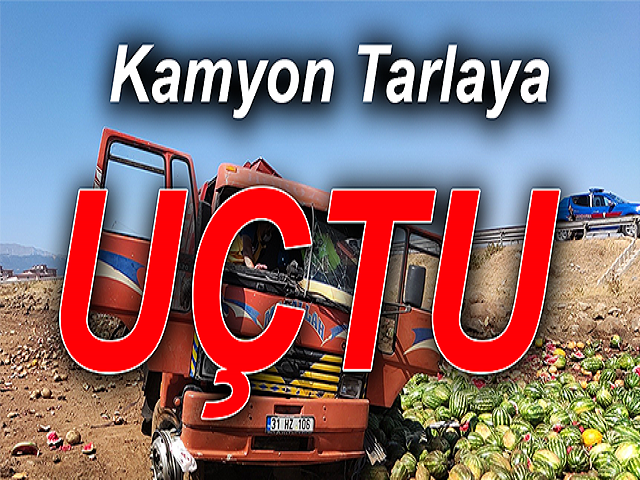 Hatay’a gelen kamyon tarlaya uçtu: 1 yaralı