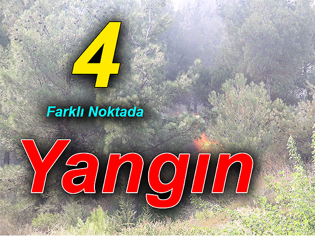 Hatay’da 4 farklı noktada orman yangını