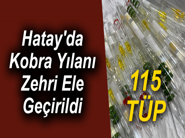 Hatay'da Kobra Yılanı Zehri Ele Geçirildi