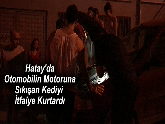 Hatay'da Otomobilin Motoruna Sıkışan Kediyi İtfaiye Kurtardı