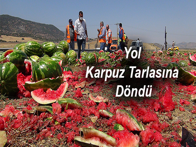 Yol Karpuz Tarlasına Döndü