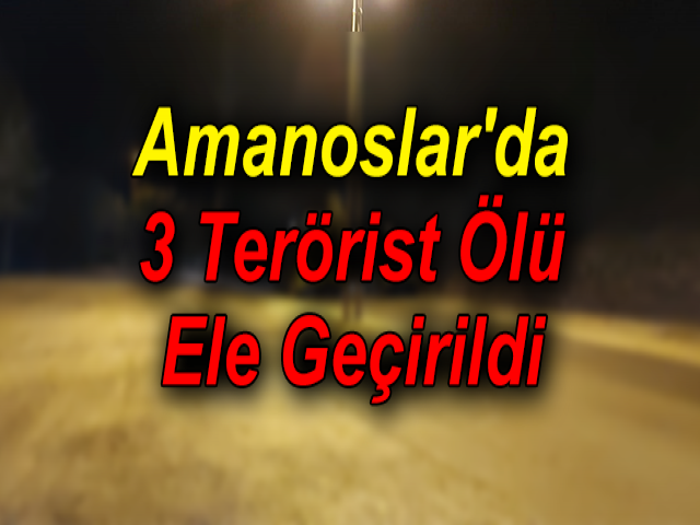 Amanoslar'da 3 Terörist Ölü Ele Geçirildi