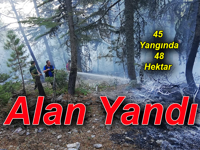 Hatay’da 45 Yangında 48 Hektar Alan Yandı 