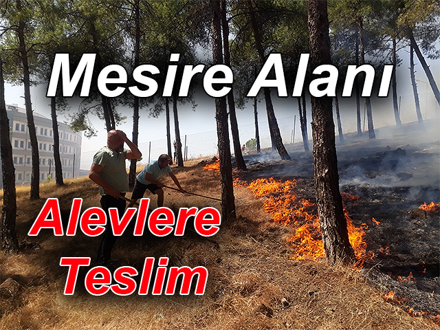 Hatay'da Mesire Alanı Alevlere Teslim Oldu