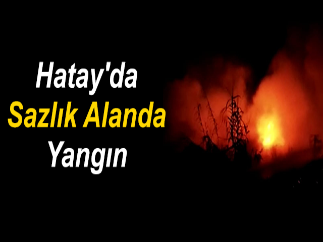 Hatay'da Sazlık Alanda Yangın