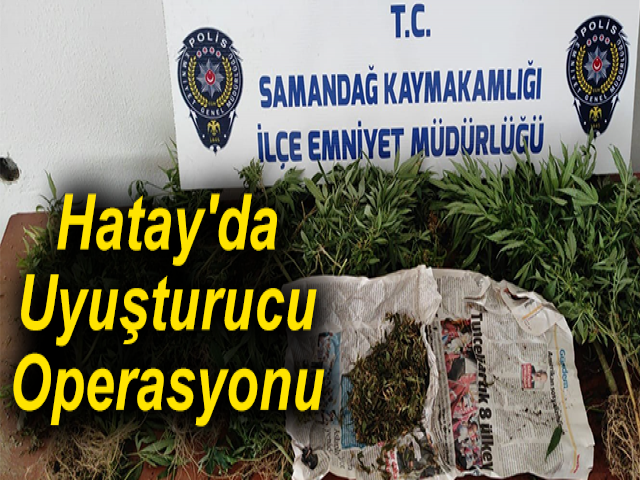 Hatay'da Uyuşturucu Operasyonu
