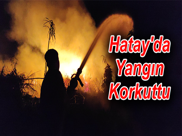 Hatay'da Yangın Korkuttu