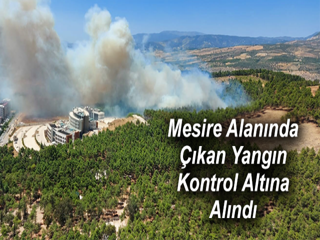 Mesire Alanında Çıkan Yangın Kontrol Altına Alındı