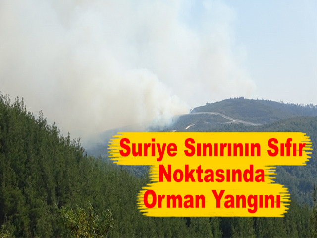 Suriye Sınırının Sıfır Noktasında Orman Yangını