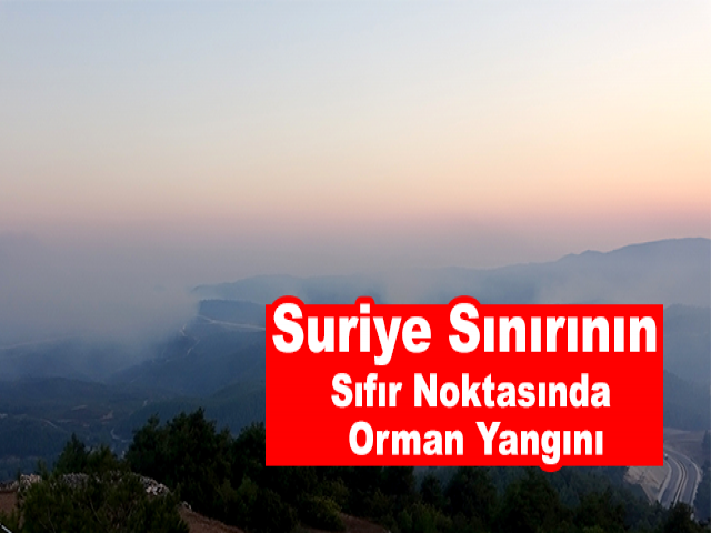 Suriye Sınırının Sıfır Noktasında Orman Yangını