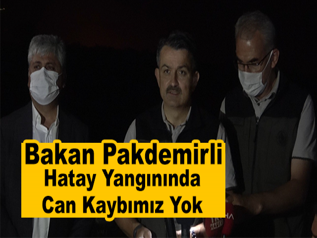 Bakan Pakdemirli: Hatay Yangınında Can Kaybımız Yok, Müdahale Devam Ediyor