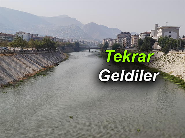 Bütün Asi Nehri'ni İstila Etmişlerdi, Yine Geldiler