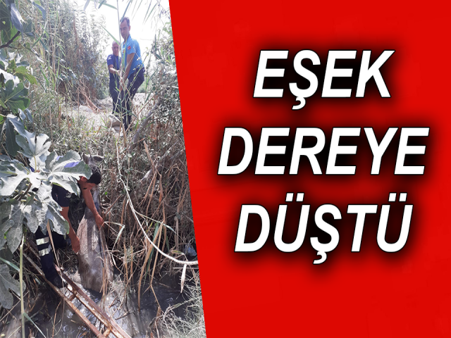 Hatay'da Dereye Düşen Eşeği İtfaiye Kurtardı