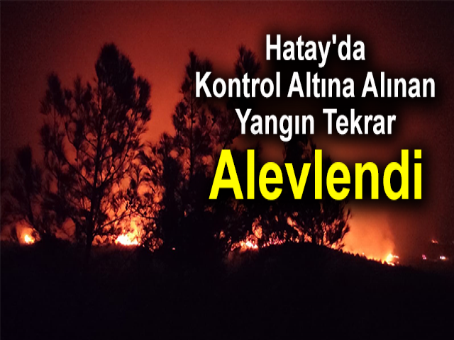 Hatay'da Kontrol Altına Alınan Yangın Tekrar Alevlendi