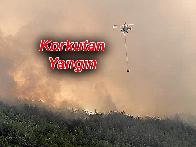 Hatay’da Korkutan Yangın