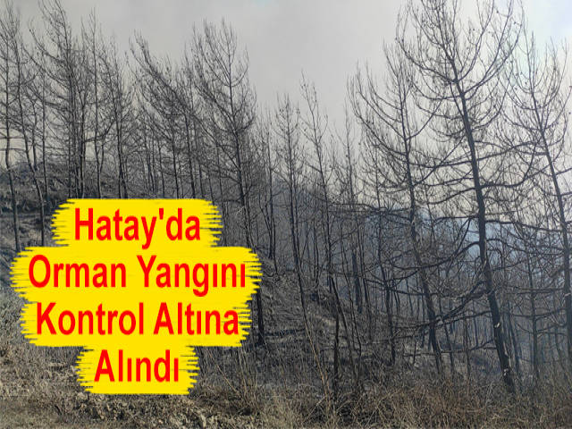 Hatay'da Orman Yangını Kontrol Altına Alındı
