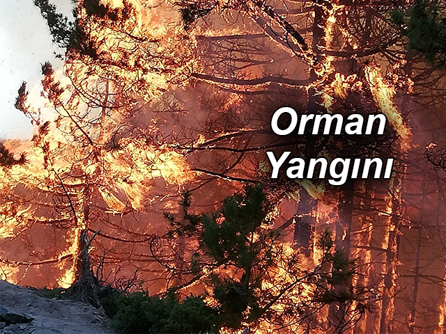 Hatay'da Orman Yangını Kontrol Altına Alınmaya Çalışılıyor