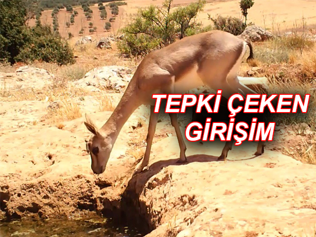 Hatay'da Taş Ocağı Firmasından Tepki Çeken Girişim