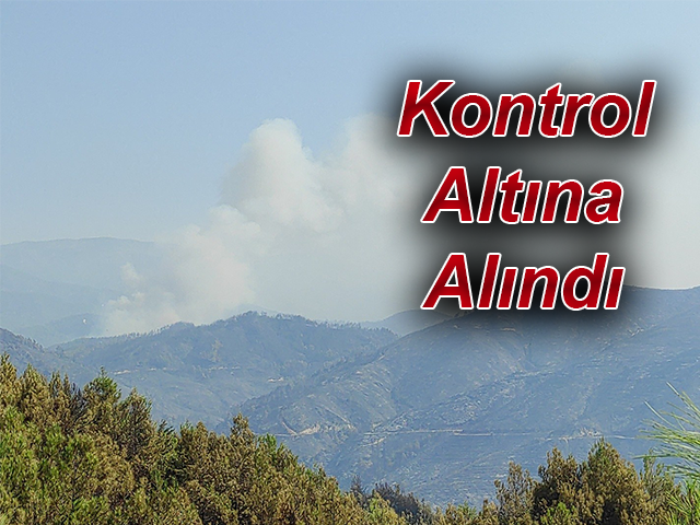 Hatay'daki orman yangını kontrol altına alındı