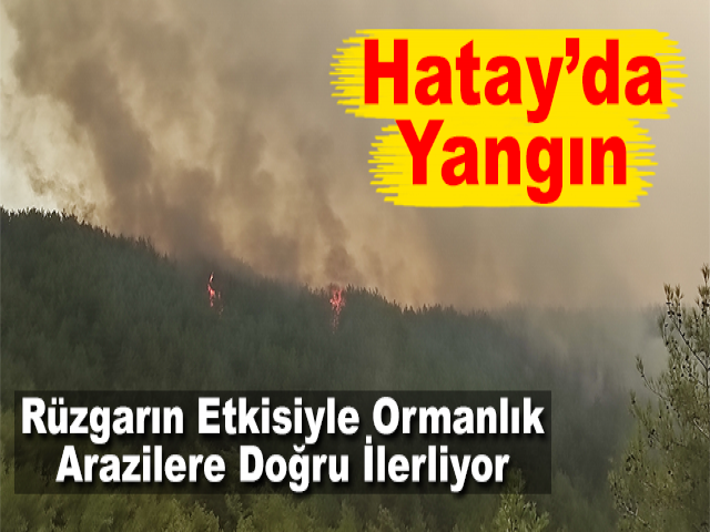 Hatay'daki Yangın, Rüzgarındaki Etkisiyle Ormanlık Arazilere Doğru İlerliyor